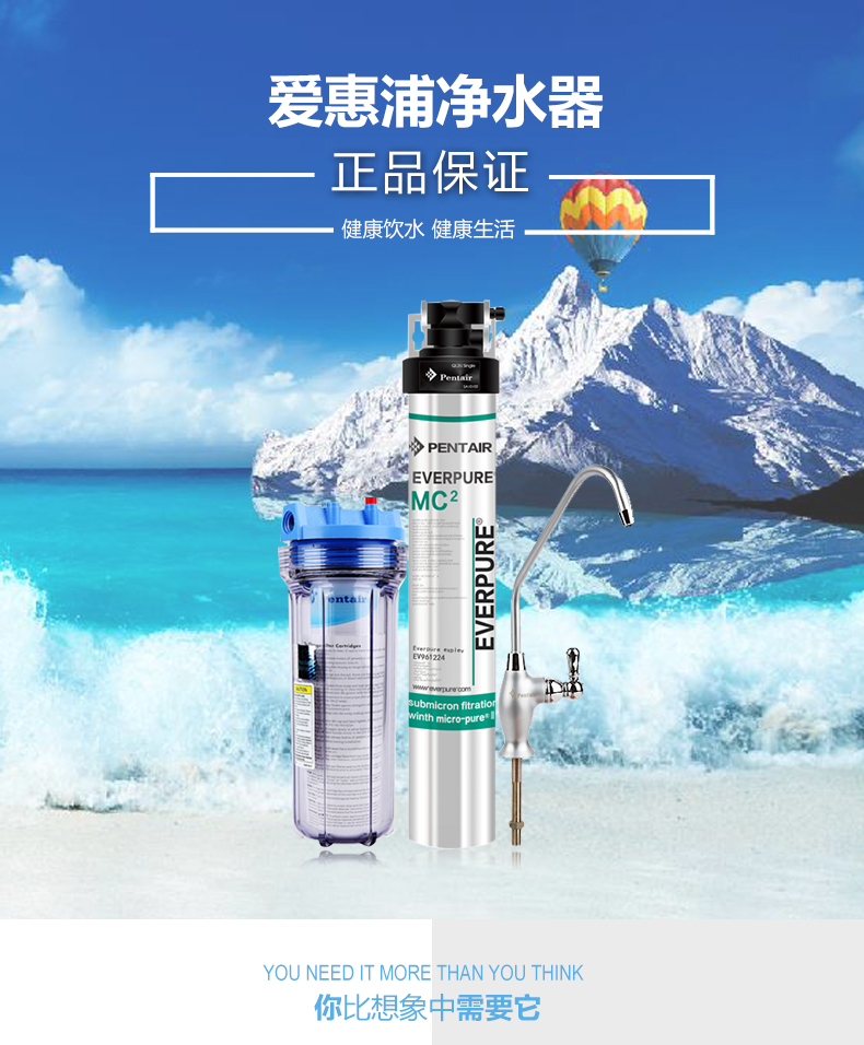 爱惠浦净水器MC2 商用餐饮酒店咖啡奶茶店自来水过滤直饮净水机
