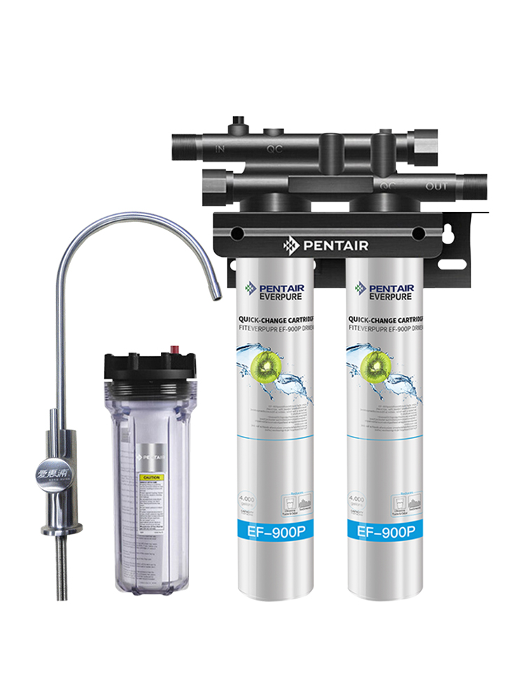 滨特尔爱惠浦家用EF-900PT双联净水器自来水厨房直饮过滤器净水机