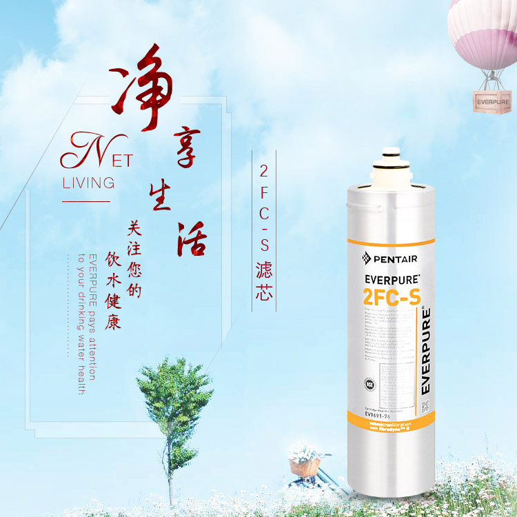 爱惠浦 2FC-S 高端连体净水器 高端厨房自来水过滤直饮