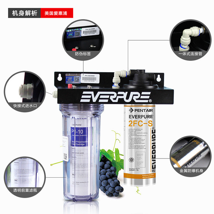 爱惠浦 2FC-S 高端连体净水器 高端厨房自来水过滤直饮